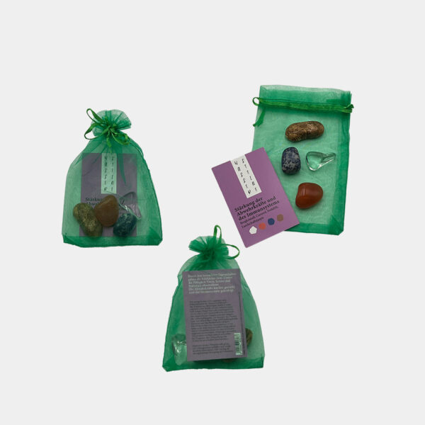 stärkung der abwehrkräfte und immunsystem stärkung der abwehrkräfte und immunsystem